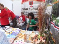 fotogaleria